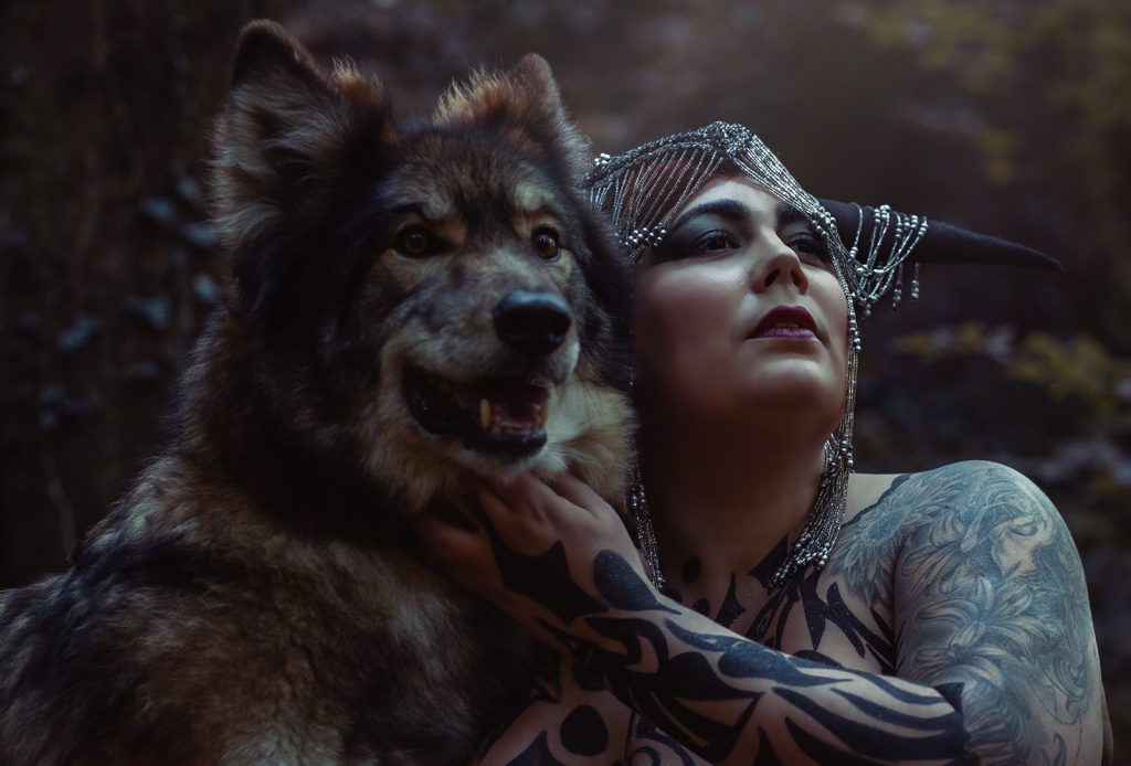 black wolf fotoshooting fantasy