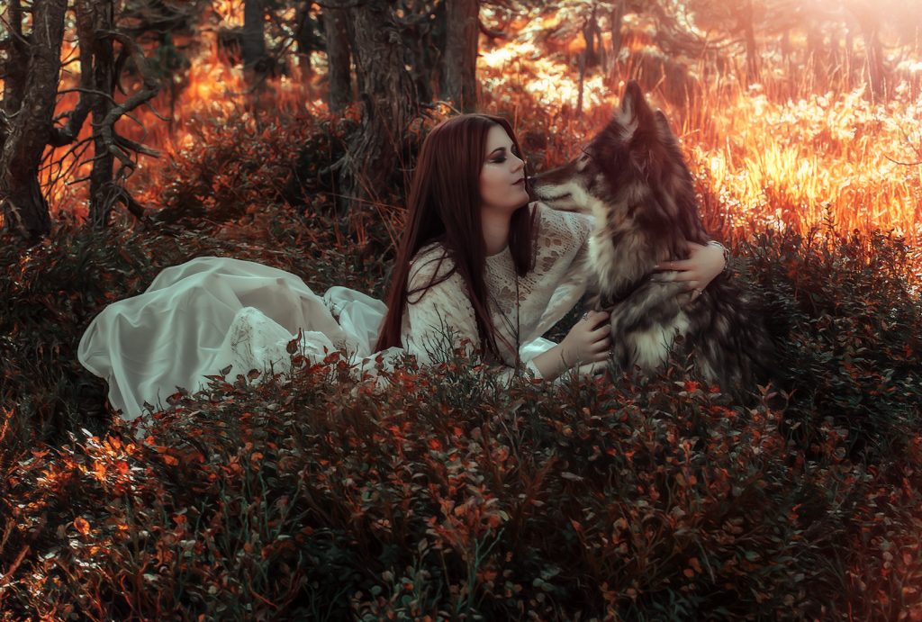herbst fotoshooting tiere schweiz