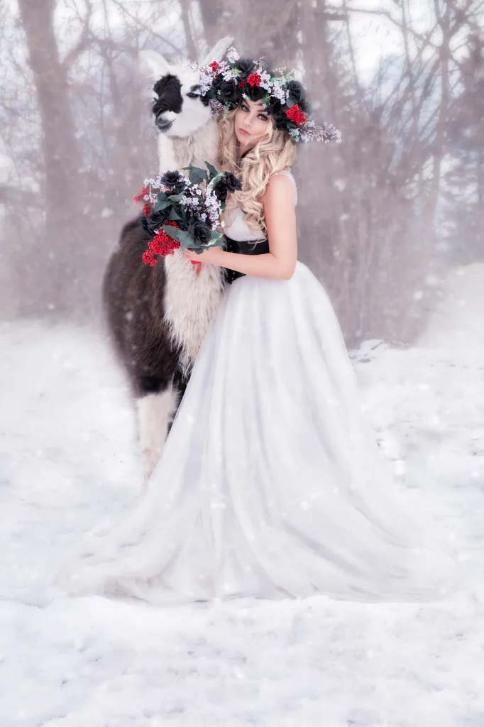 Fotoshooting-Tiershooting-Lama-Winter