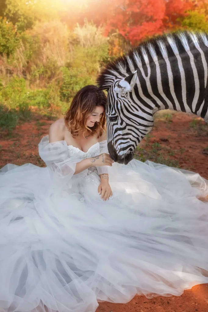 Model-im-weißen-Kleid-kniet-vor-Zebra-in-herbstlicher-Umgebung-mit-gold-oranger-Stimmung-–-Elena-Frizler-Photography